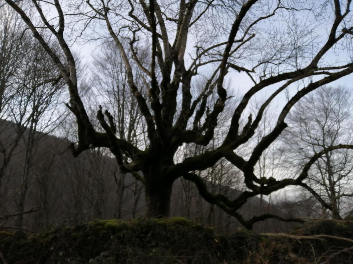 Sumbilla Argixti旅馆 外观 照片